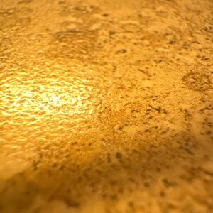 Meet your Posher, Jesse